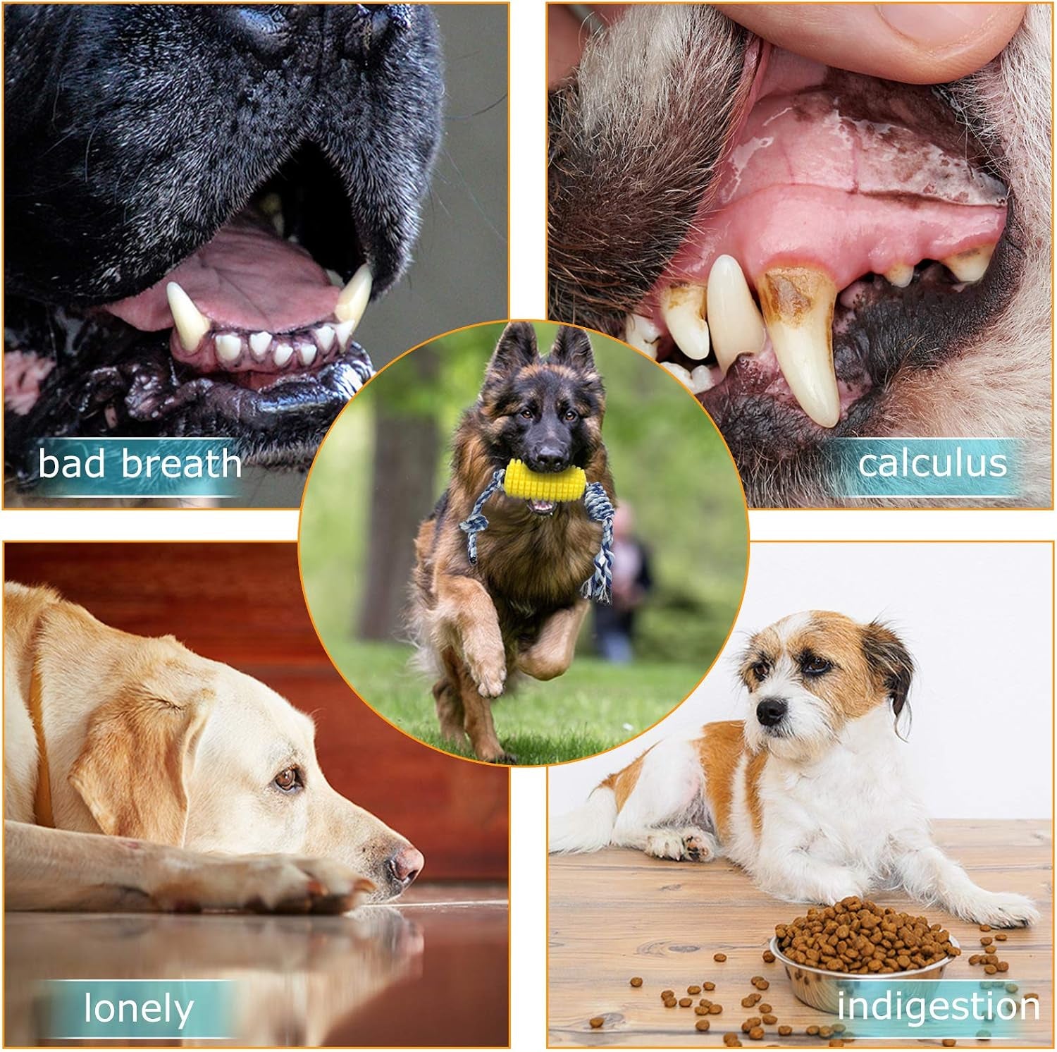 Dog Toothbrush Chew Toy for Aggressive Chewers | Dog Teeth Cleaning Stick | Indestructible Durable Tough Toy for Medium Large Dogs 11