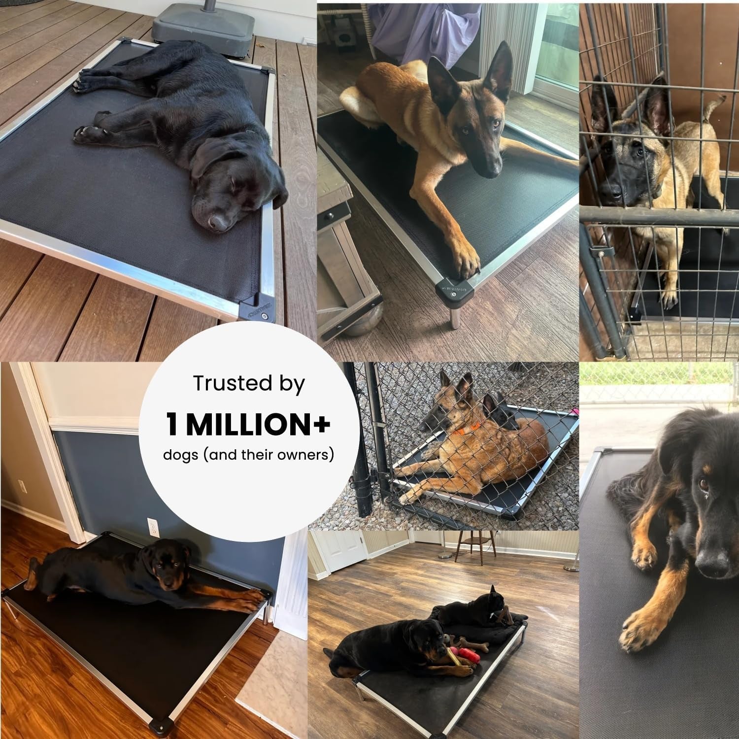 Chew Proof Elevated Outdoor Cooling Cot Bed for Large Dogs - Virtually Indestructible, Preassembled, Withstands Aggressive Chewers - L, Black Mesh