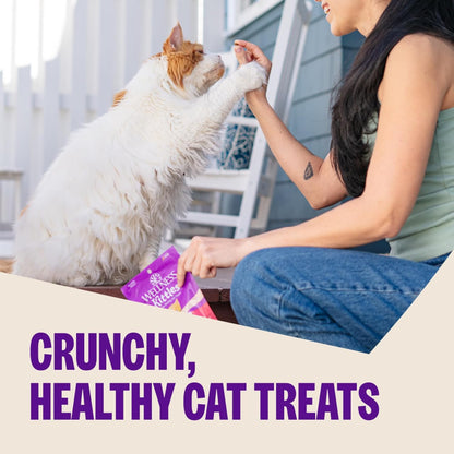 Wellness Kittles Crunchy Cat Treats, All Lifestages, Kitten to Senior, Natural, Grain Free, Salmon and Cranberry Flavor, 6 Oz Bag