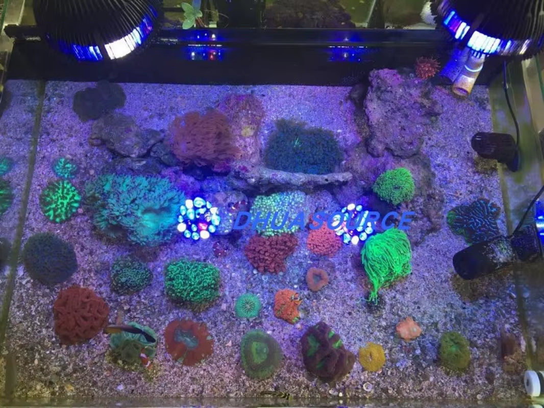 Full Spectrum LED Aquarium Reef Light Grow Lamp Fish Tank Bulb for Coral Fish Saltwater Nanotank Plant SPS LPS