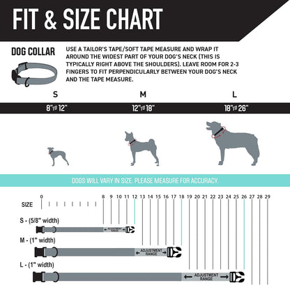 Wolfgang Heavy Duty, Adjustable Dog Collar with Quick Release Nylon Buckle for Walking & Training, Sunsetpalms Print, Medium