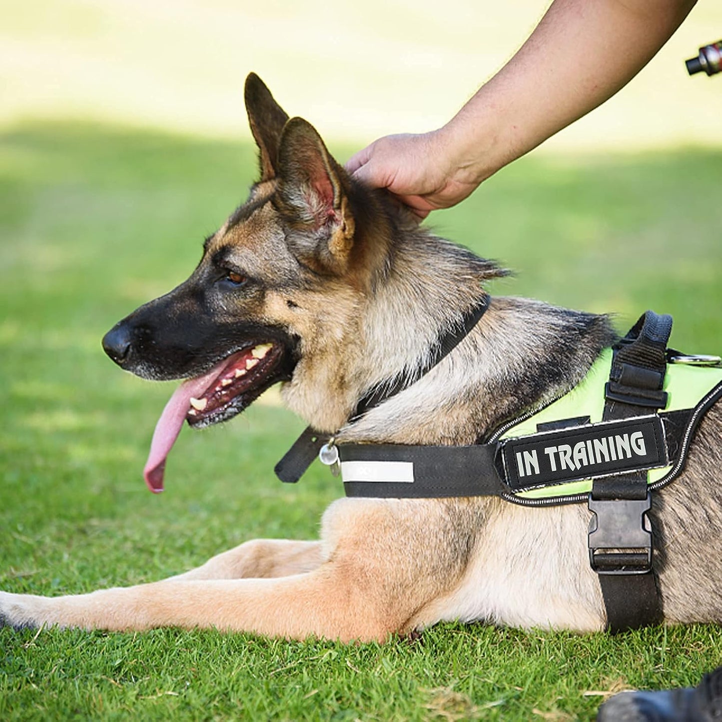8PCS Service Dog Vest Patch, Reflective Tactical Dog Harness Vest Patches Service Dog in Training Vest Patches Do Not Pet Ask to Pet and American Flag Patches for Dog Vest Harness Collar Leash