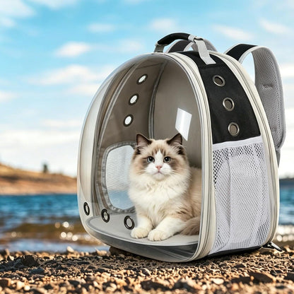 Cat Travel Backpack Carrier, Fit up to 12 Lbs, Space Capsule Bubble Window Pet Carrier Backpack,Airline-Approved, Designed for Travel, Hiking, Walking & Outdoor Use (Black, Back-Extension)