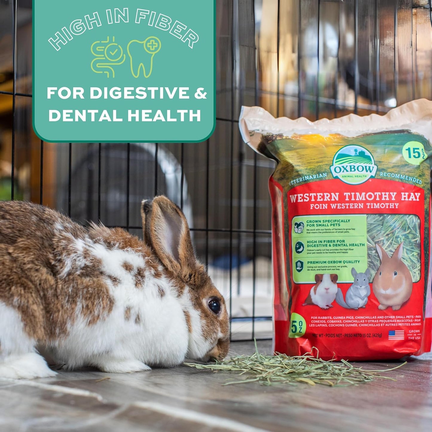 Western Timothy Hay, Guinea Pig Hay, Small Pet Bunny Supplies, All Natural Grass for Guinea Pig, Bunny, Chinchilla & Hamster,  Rabbit Supplies for Bunnies, 9 Lb Box