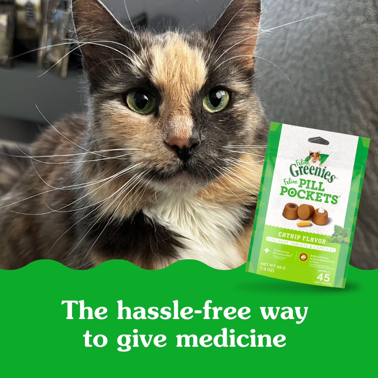Feline  Pill Pockets for Cats Natural Soft Cat Treats, Catnip Flavor, 1.6 Oz Pack (45 Treats)