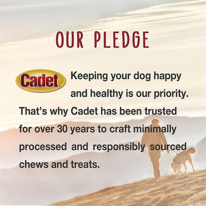 Gourmet Duck Jerky Dog Treats for Training - Healthy & Natural Dog Training Treats for Small & Large Breeds - Inspected & Tested in USA (14 Oz.)