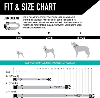 Wolfgang Heavy Duty, Adjustable Dog Collar with Quick Release Nylon Buckle for Walking & Training, Losmuertos Print, Large