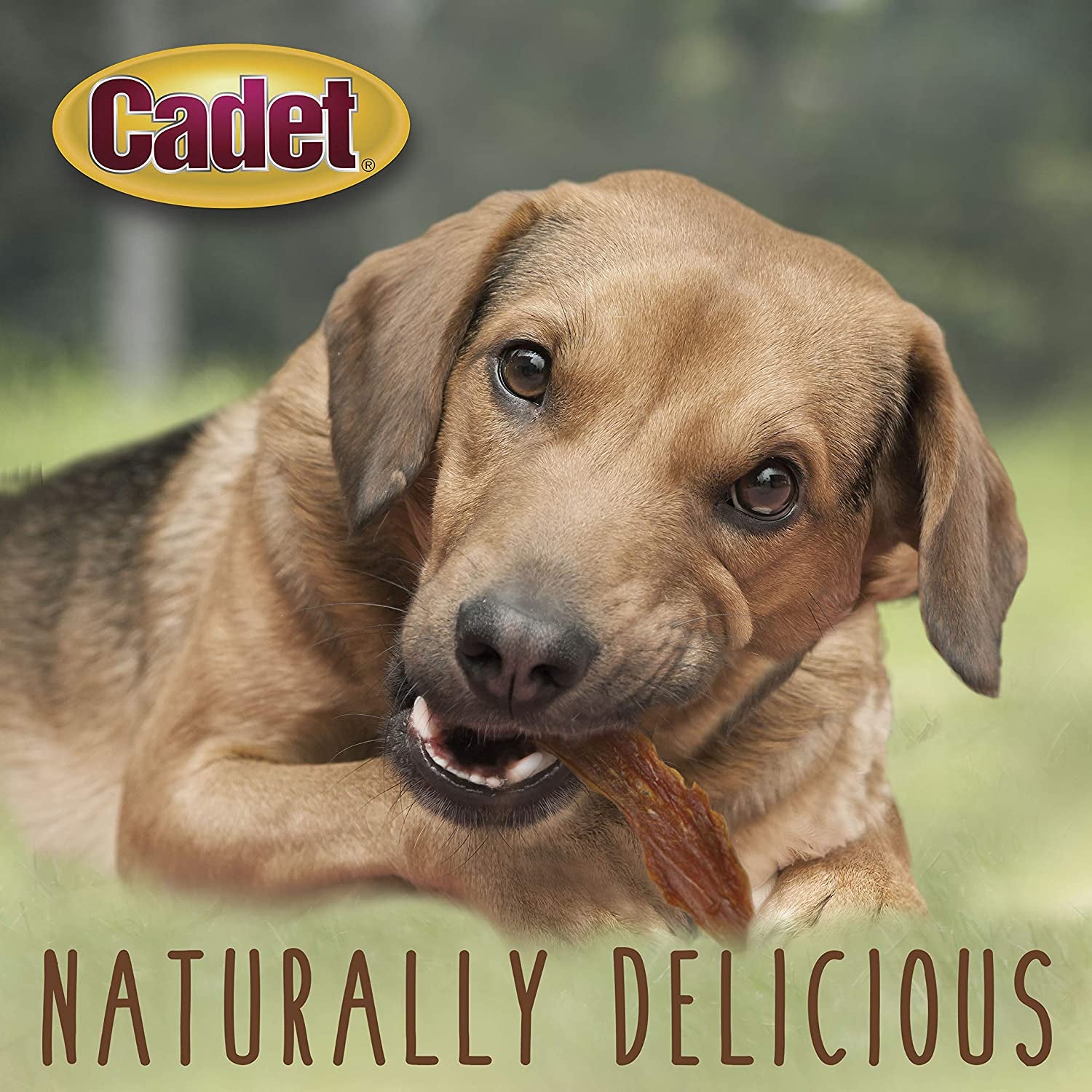 Gourmet Duck Jerky Dog Treats for Training - Healthy & Natural Dog Training Treats for Small & Large Breeds - Inspected & Tested in USA (14 Oz.)