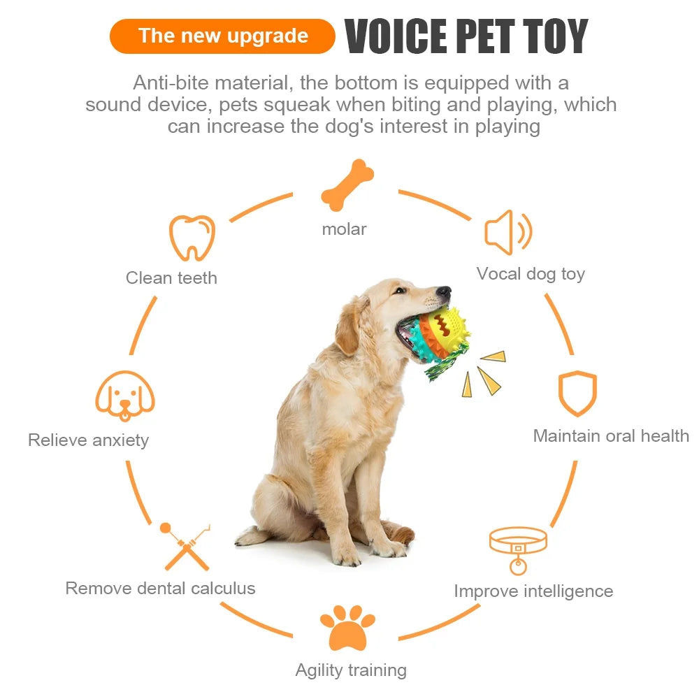 Ultra Durable Squeaky Dog Toy for Aggressive Chewers, Red, Large