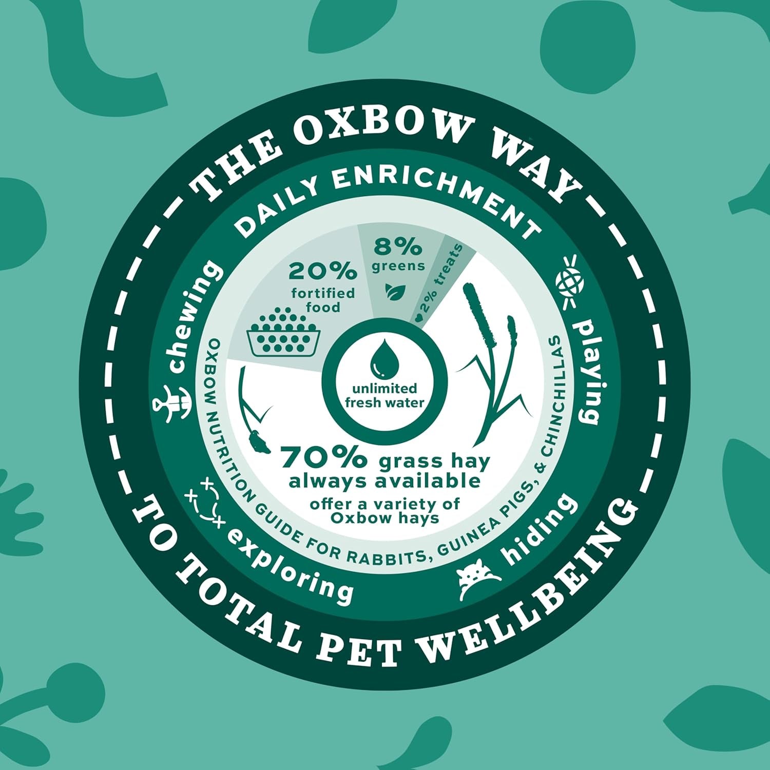 Western Timothy Hay, Guinea Pig Hay, Small Pet Bunny Supplies, All Natural Grass for Guinea Pig, Bunny, Chinchilla & Hamster,  Rabbit Supplies for Bunnies, 9 Lb Box
