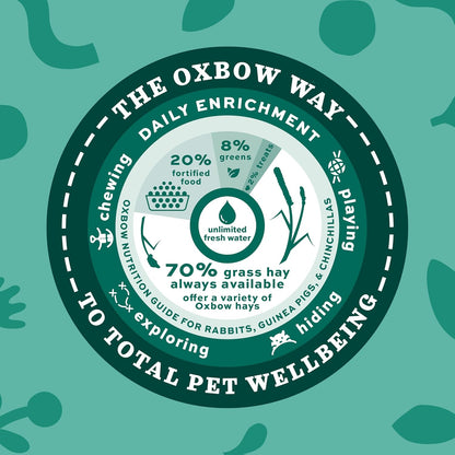 Western Timothy Hay, Guinea Pig Hay, Small Pet Bunny Supplies, All Natural Grass for Guinea Pig, Bunny, Chinchilla & Hamster,  Rabbit Supplies for Bunnies, 9 Lb Box