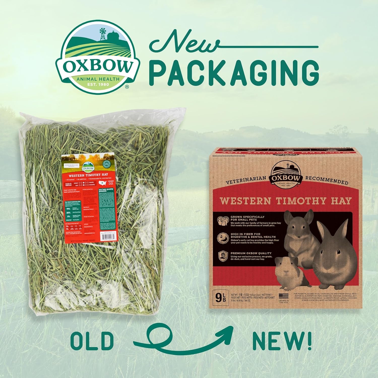 Western Timothy Hay, Guinea Pig Hay, Small Pet Bunny Supplies, All Natural Grass for Guinea Pig, Bunny, Chinchilla & Hamster,  Rabbit Supplies for Bunnies, 9 Lb Box