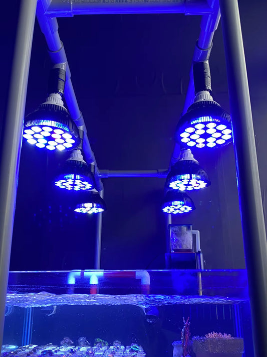 Full Spectrum LED Aquarium Reef Light Grow Lamp Fish Tank Bulb for Coral Fish Saltwater Nanotank Plant SPS LPS