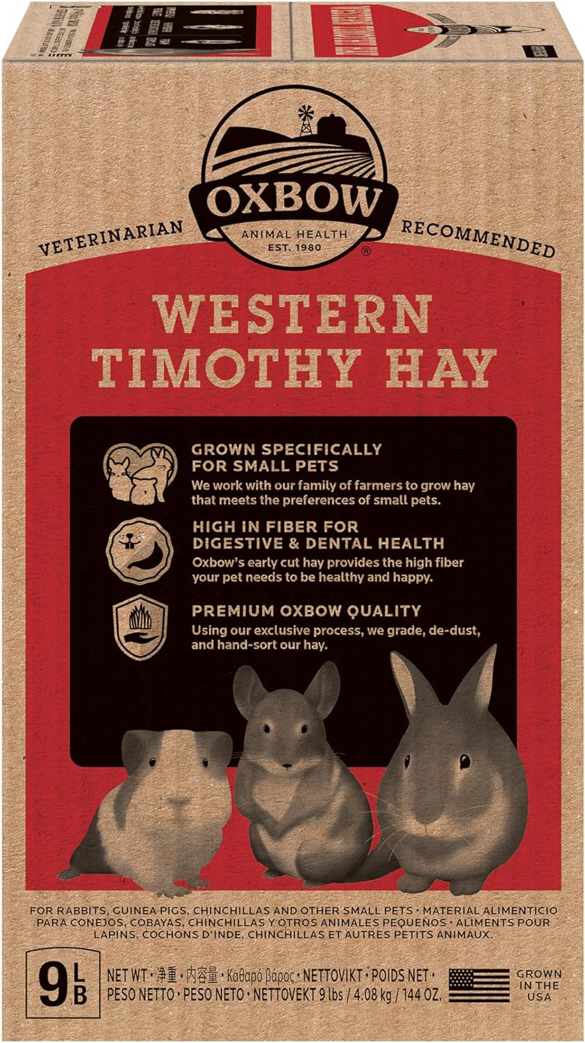 Western Timothy Hay, Guinea Pig Hay, Small Pet Bunny Supplies, All Natural Grass for Guinea Pig, Bunny, Chinchilla & Hamster,  Rabbit Supplies for Bunnies, 9 Lb Box